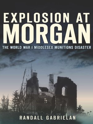 cover image of Explosion at Morgan